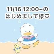 ヒメ日記 2025/11/16 14:47 投稿 みく 岐阜岐南各務原ちゃんこ