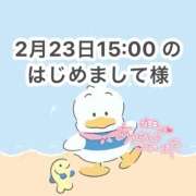 ヒメ日記 2026/02/24 16:32 投稿 みく 岐阜岐南各務原ちゃんこ