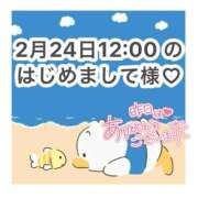 ヒメ日記 2026/02/25 11:37 投稿 みく 岐阜岐南各務原ちゃんこ