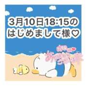 ヒメ日記 2026/03/11 10:37 投稿 みく 岐阜岐南各務原ちゃんこ