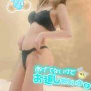 ヒメ日記 2026/03/14 12:07 投稿 みく 岐阜岐南各務原ちゃんこ