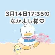 ヒメ日記 2026/03/15 10:37 投稿 みく 岐阜岐南各務原ちゃんこ