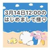 ヒメ日記 2026/03/16 10:32 投稿 みく 岐阜岐南各務原ちゃんこ