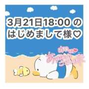 ヒメ日記 2026/03/22 10:37 投稿 みく 岐阜岐南各務原ちゃんこ