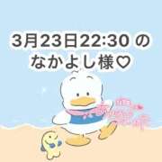 ヒメ日記 2026/03/24 11:01 投稿 みく 岐阜岐南各務原ちゃんこ