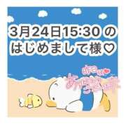 ヒメ日記 2026/03/25 11:20 投稿 みく 岐阜岐南各務原ちゃんこ