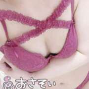 みく しゅっきん🐾🐱 岐阜岐南各務原ちゃんこ