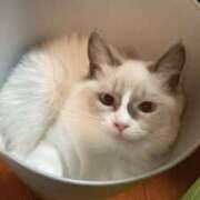 ヒメ日記 2025/07/11 10:10 投稿 恵-めぐみ【FG系列】 ほんとうの人妻 厚木店【FG系列】