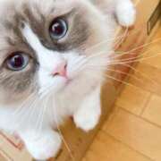 ヒメ日記 2025/07/14 09:00 投稿 恵-めぐみ【FG系列】 ほんとうの人妻 厚木店【FG系列】