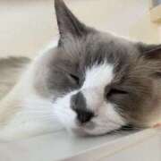 ヒメ日記 2025/07/15 13:26 投稿 恵-めぐみ【FG系列】 ほんとうの人妻 厚木店【FG系列】