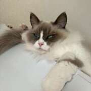 ヒメ日記 2025/07/18 10:20 投稿 恵-めぐみ【FG系列】 ほんとうの人妻 厚木店【FG系列】