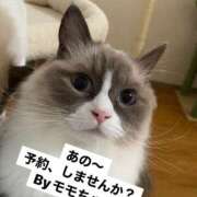 ヒメ日記 2025/07/25 21:03 投稿 恵-めぐみ【FG系列】 ほんとうの人妻 厚木店【FG系列】