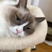 ヒメ日記 2025/07/28 09:00 投稿 恵-めぐみ【FG系列】 ほんとうの人妻 厚木店【FG系列】