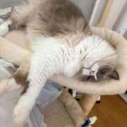 ヒメ日記 2025/07/29 22:06 投稿 恵-めぐみ【FG系列】 ほんとうの人妻 厚木店【FG系列】