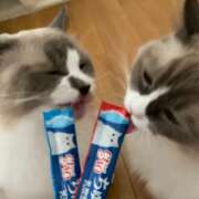 ヒメ日記 2025/08/05 15:28 投稿 恵-めぐみ【FG系列】 ほんとうの人妻 厚木店【FG系列】