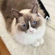 ヒメ日記 2025/08/08 15:13 投稿 恵-めぐみ【FG系列】 ほんとうの人妻 厚木店【FG系列】