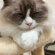 ヒメ日記 2025/08/09 18:22 投稿 恵-めぐみ【FG系列】 ほんとうの人妻 厚木店【FG系列】