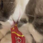 ヒメ日記 2025/08/13 22:33 投稿 恵-めぐみ【FG系列】 ほんとうの人妻 厚木店【FG系列】