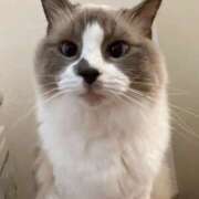 ヒメ日記 2025/08/15 14:52 投稿 恵-めぐみ【FG系列】 ほんとうの人妻 厚木店【FG系列】