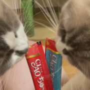 ヒメ日記 2025/08/15 21:16 投稿 恵-めぐみ【FG系列】 ほんとうの人妻 厚木店【FG系列】