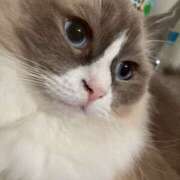 ヒメ日記 2025/08/25 14:31 投稿 恵-めぐみ【FG系列】 ほんとうの人妻 厚木店【FG系列】