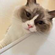 ヒメ日記 2025/08/26 09:15 投稿 恵-めぐみ【FG系列】 ほんとうの人妻 厚木店【FG系列】