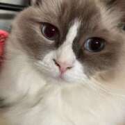 ヒメ日記 2025/08/27 05:26 投稿 恵-めぐみ【FG系列】 ほんとうの人妻 厚木店【FG系列】