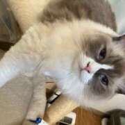 恵-めぐみ【FG系列】 私は〜絶対〇〇‼️ ほんとうの人妻 厚木店【FG系列】