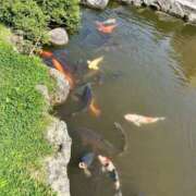 ヒメ日記 2025/10/07 15:53 投稿 のあ Replay（リプレイ）