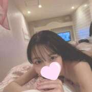 ヒメ日記 2026/02/04 19:01 投稿 菅谷のわ 水戸ソープ アイドル彼女