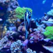 ヒメ日記 2025/08/26 22:18 投稿 さゆり カワサキEROTIC（ソープランド）