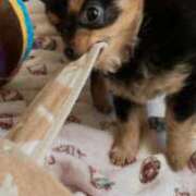 ヒメ日記 2025/08/19 12:40 投稿 ゆずき Fの法則