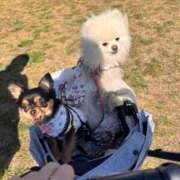 ヒメ日記 2025/12/22 18:38 投稿 ゆずき Fの法則