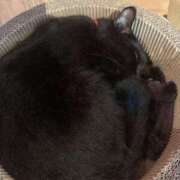 ヒメ日記 2026/02/06 14:25 投稿 ゆずき Fの法則