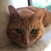 ヒメ日記 2026/03/01 20:57 投稿 ゆずき Fの法則