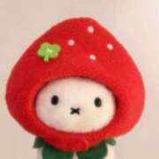 ヒメ日記 2026/01/23 00:50 投稿 すずね スパーク梅田店