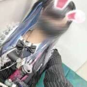 ヒメ日記 2025/09/05 00:30 投稿 りる「りる」 ピュアセレクラブ