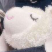 ヒメ日記 2025/09/26 03:21 投稿 りる「りる」 ピュアセレクラブ