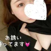 ヒメ日記 2026/02/19 11:15 投稿 みなも 丸妻 新横浜店