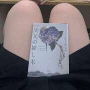 ヒメ日記 2026/04/02 15:19 投稿 みなも 丸妻 新横浜店