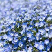 ヒメ日記 2025/07/09 11:53 投稿 みほの One More 奥様　松戸店