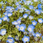 ヒメ日記 2025/07/11 10:19 投稿 みほの One More 奥様　松戸店