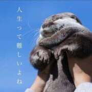 みほの 出勤しました🙋‍♀️ One More 奥様　松戸店