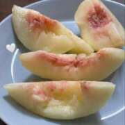 ヒメ日記 2025/08/02 09:08 投稿 杉本 さおり マーベリック横浜