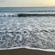 ヒメ日記 2025/10/09 07:04 投稿 杉本 さおり マーベリック横浜