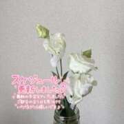 杉本 さおり お知らせです マーベリック横浜