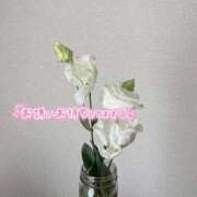 ヒメ日記 2026/02/23 10:14 投稿 杉本 さおり マーベリック横浜