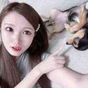 みこと 今日から♡ 姫コレクション