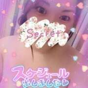 ヒメ日記 2025/07/11 05:50 投稿 しんか 川越ぷよステーション