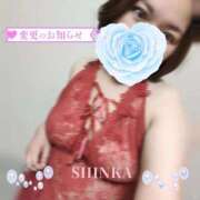 ヒメ日記 2025/09/13 17:03 投稿 しんか 川越ぷよステーション